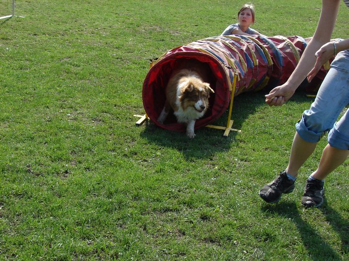 DSC09115.JPG